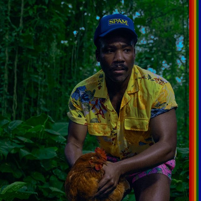 imagen del disco Bando Stone and the New World de Childish Gambino, donde se ve a Donald Glover vestido con una camisa estilo Hawaiana, shorts con piñas y una gorra de SPAM, en pose agachada atento con una gallina entre las manos y en medio de un bosque muy espeso en vegetación.